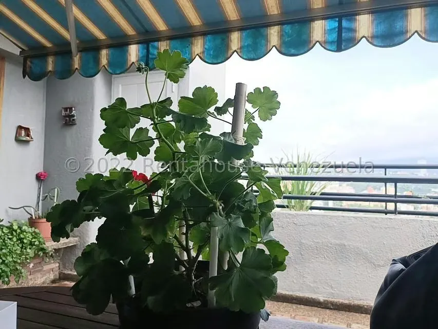Apartamento (Duplex) en Venta en Santa Monica, Distrito Metropolitano - 28