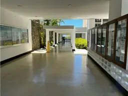 Vista 19