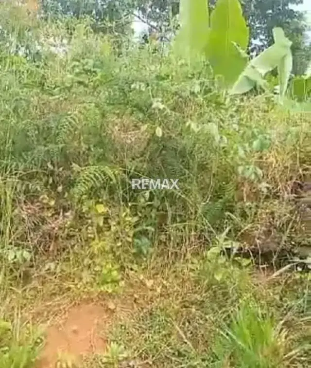 En venta Lote de Terreno en Pata de Gallina, Aldea