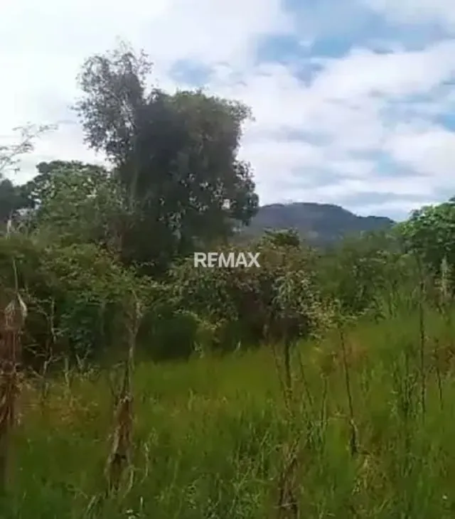 En venta Lote de Terreno en Pata de Gallina, Aldea - 2