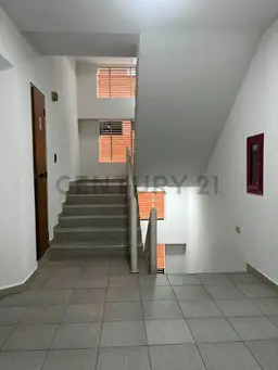 Vista 5