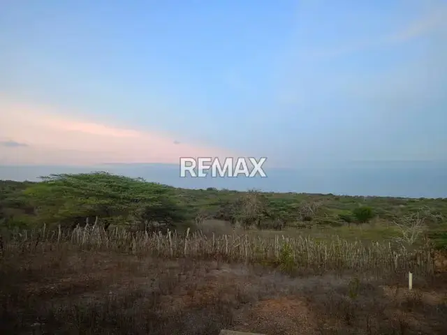 Finca en Venta, Buena Vista, Municipio Falcón