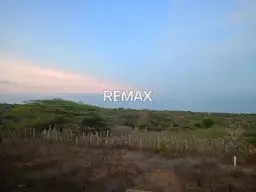 View 1