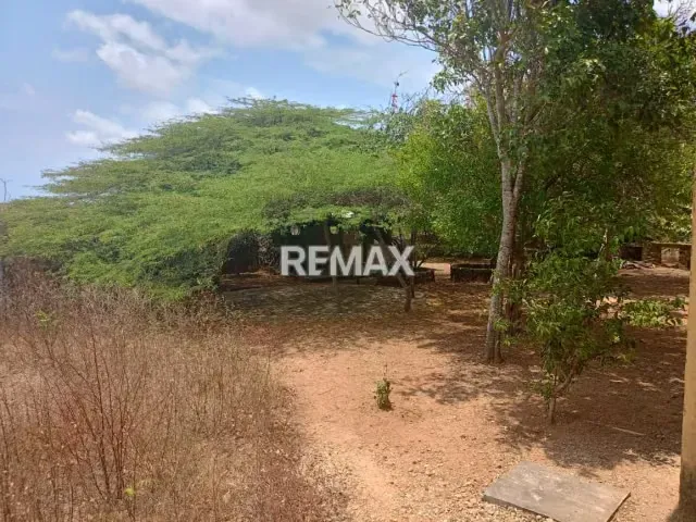 Finca en Venta, Buena Vista, Municipio Falcón - 2