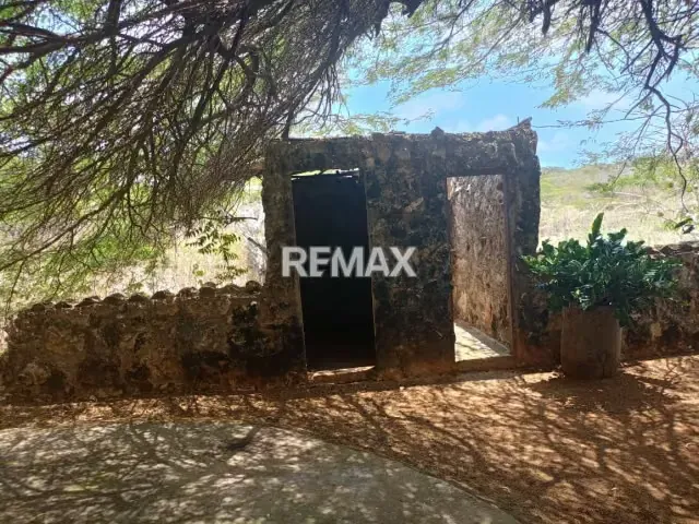 Finca en Venta, Buena Vista, Municipio Falcón - 3