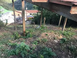 Vista 13