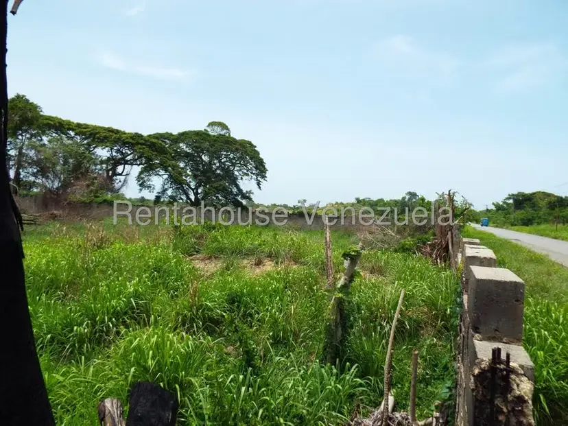 Terreno (Residencial) en Venta en Higuerote, Miranda