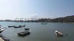Vista 5
