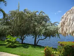 View 39