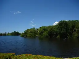 View 40