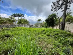 Vista 1