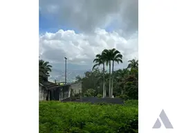 Vista 4