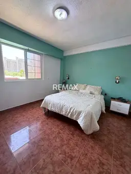 Vista 14