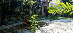 View 14
