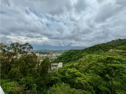 Vista 16