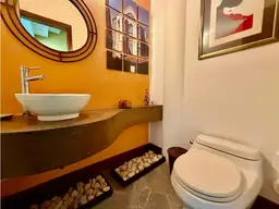 Vista 20