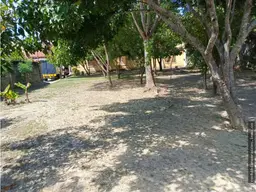 Vista 16