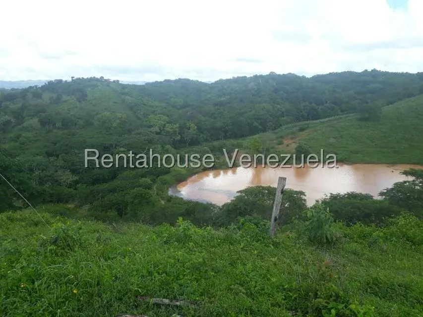 Terreno (Comercial) en Venta en Prado Mar, Falcon - 13