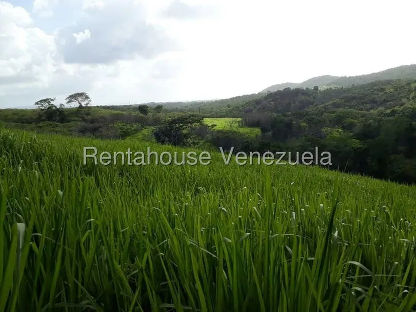 Terreno (Comercial) en Venta en Prado Mar, Falcon - 4