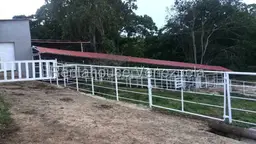 View 6