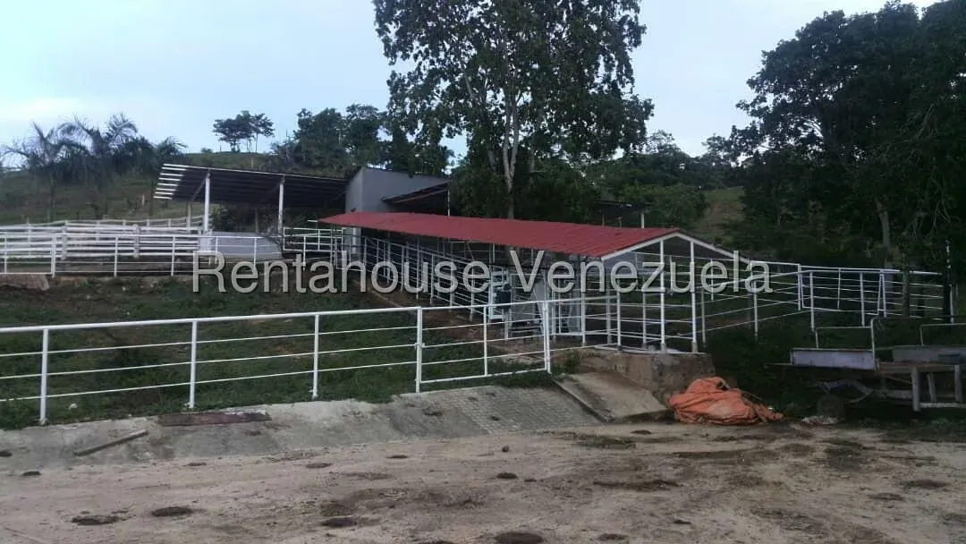 Terreno (Comercial) en Venta en Prado Mar, Falcon - 7