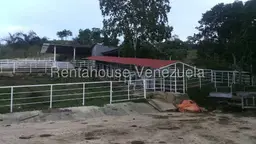 View 7