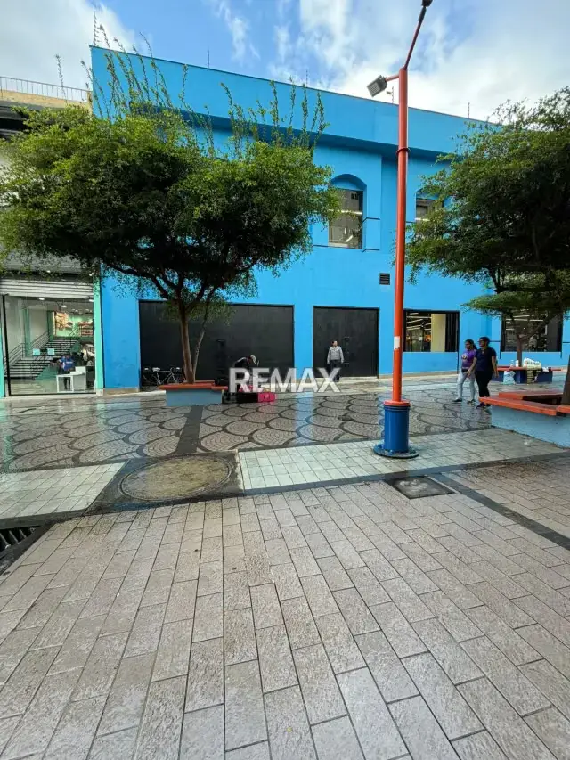 Alquiler de Local Comercial en Bulevar del Centro de Valencial