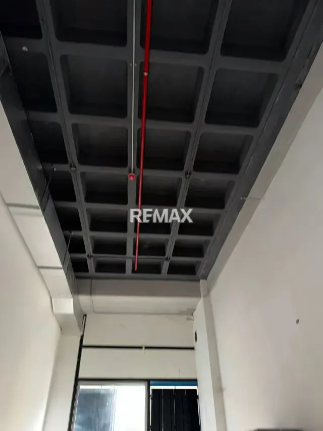 Alquiler de Local Comercial en Bulevar del Centro de Valencial - 3