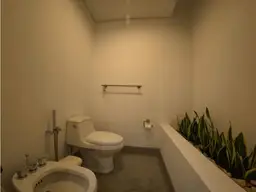 Vista 16
