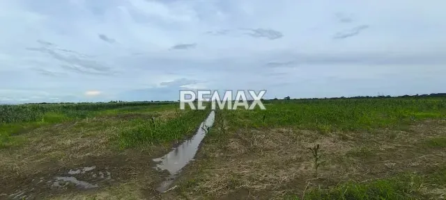 ¡Excelente Oportunidad! TERRENO EN VENTA, SECTOR MIRAFLORES, ARAURE. - 4