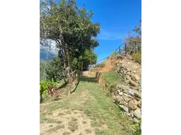 View 11