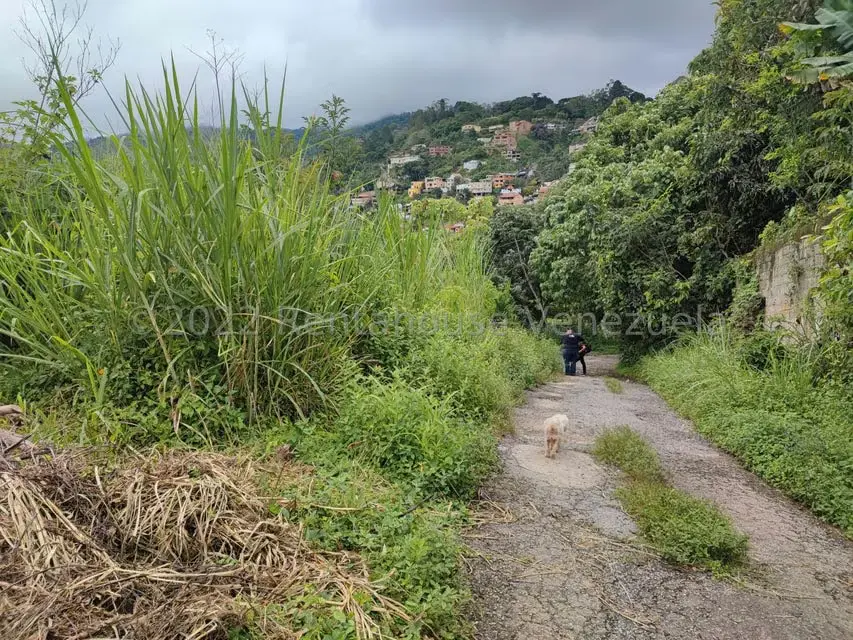 Terreno (Finca) en Venta en El Hatillo, Distrito Metropolitano - 3