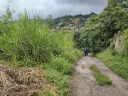 View 3