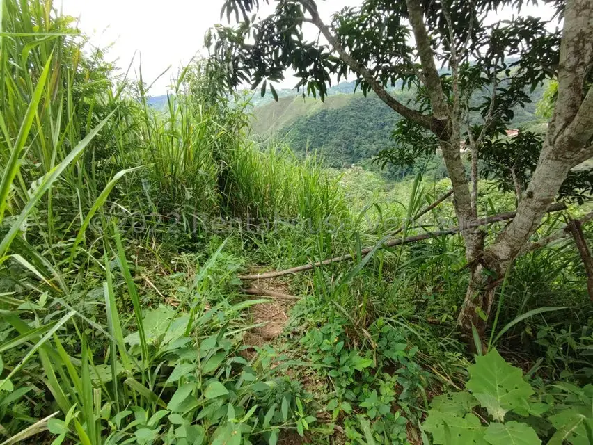 Terreno (Finca) en Venta en El Hatillo, Distrito Metropolitano - 4
