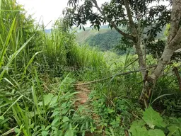 View 4
