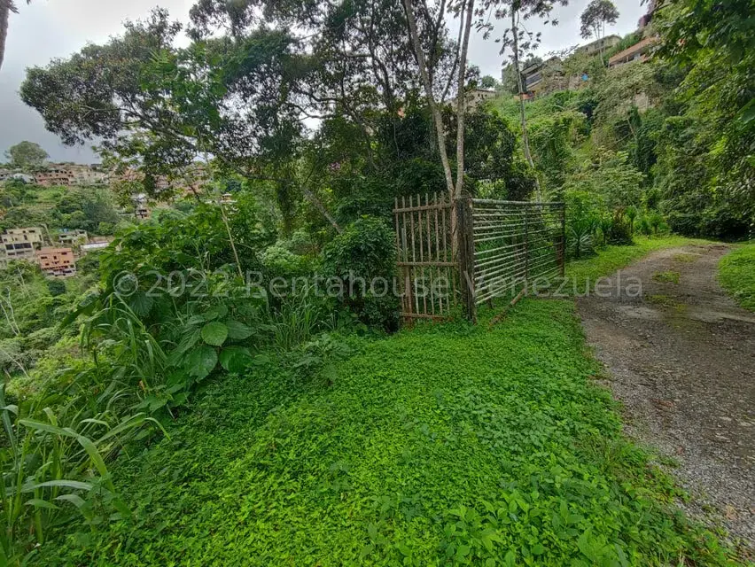 Terreno (Finca) en Venta en El Hatillo, Distrito Metropolitano - 5
