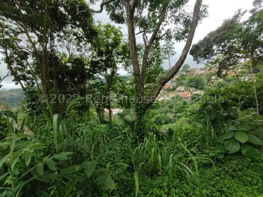 Terreno (Finca) en Venta en El Hatillo, Distrito Metropolitano - 6