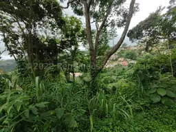 View 6