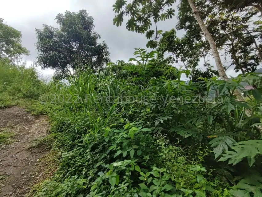 Terreno (Finca) en Venta en El Hatillo, Distrito Metropolitano - 7