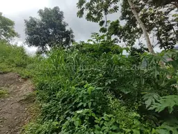 View 7