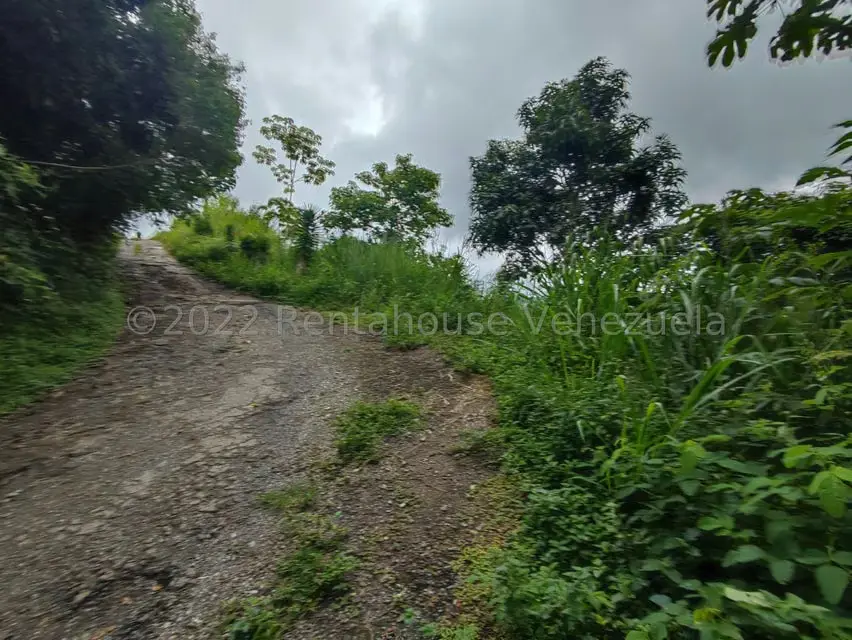 Terreno (Finca) en Venta en El Hatillo, Distrito Metropolitano - 8