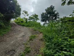 View 8