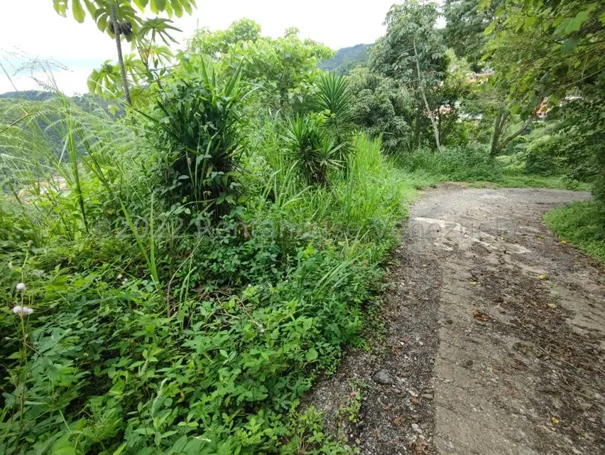 Terreno (Finca) en Venta en El Hatillo, Distrito Metropolitano - 9