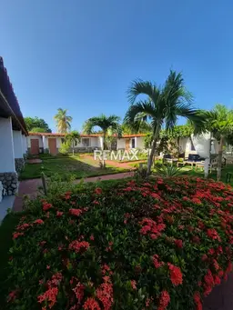 Vista 1