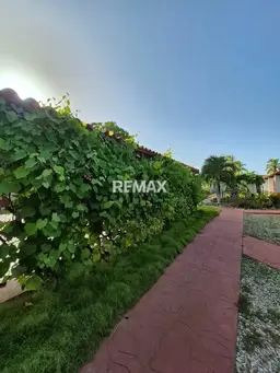 Vista 19