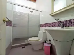 Vista 20