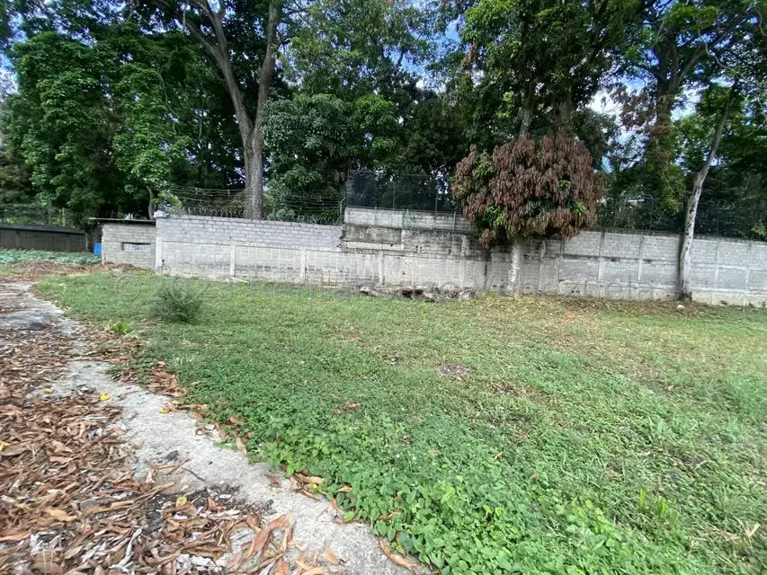 Terreno (Comercial) en Venta en El Peñon, Distrito Metropolitano - 19