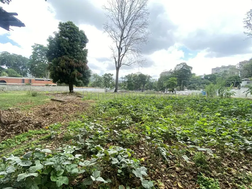 Terreno (Comercial) en Venta en El Peñon, Distrito Metropolitano - 27
