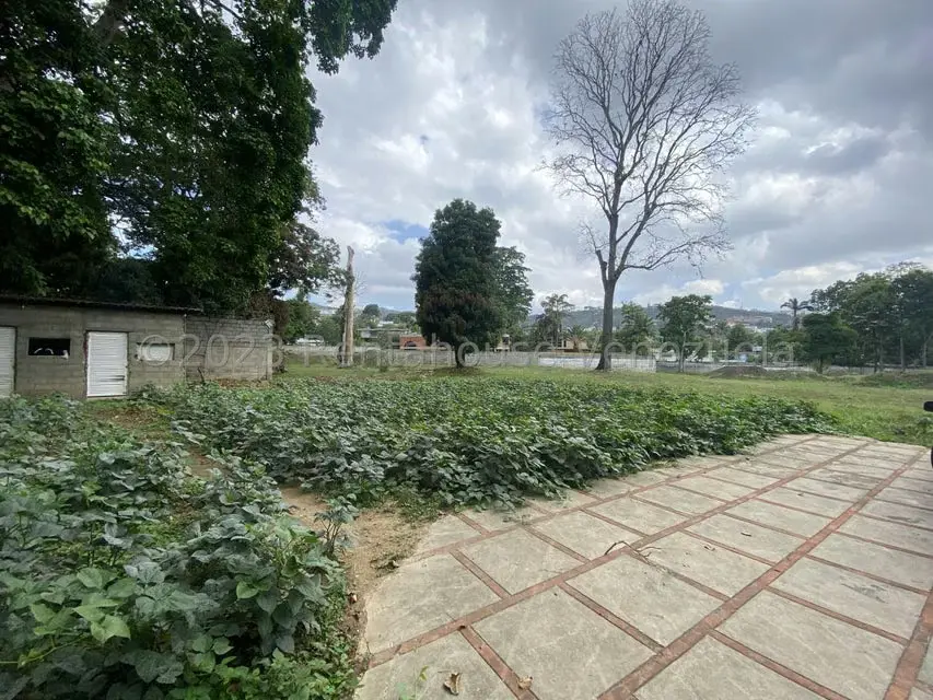 Terreno (Comercial) en Venta en El Peñon, Distrito Metropolitano - 28