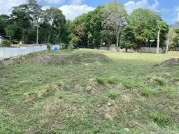 Vista 4
